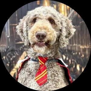 Meet your Posher, Grace